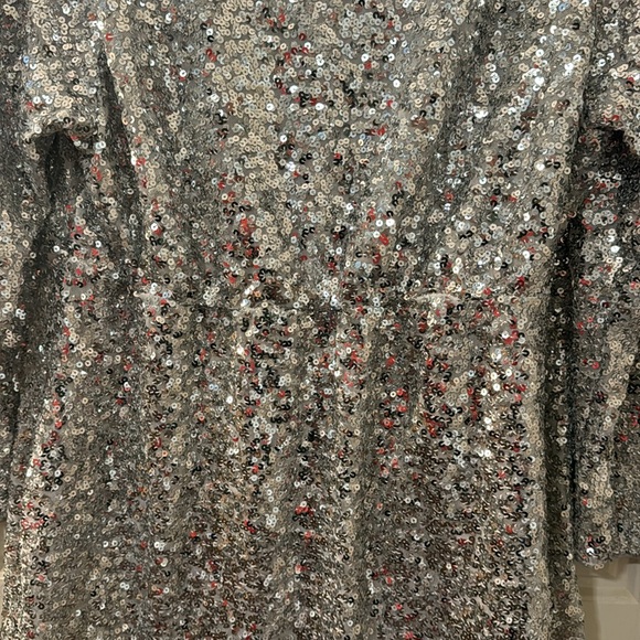 H&M Silver Sequin Dress - Picture 12 of 15